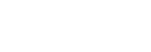 Logo Portal+
